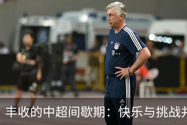 丰收的中超间歇期：快乐与挑战并存的足球盛宴